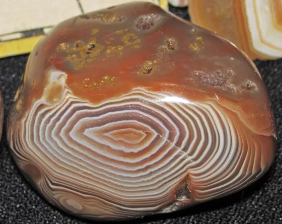 A polished reddish-orange agate with tight white and red concentric bands and a pitted top surface